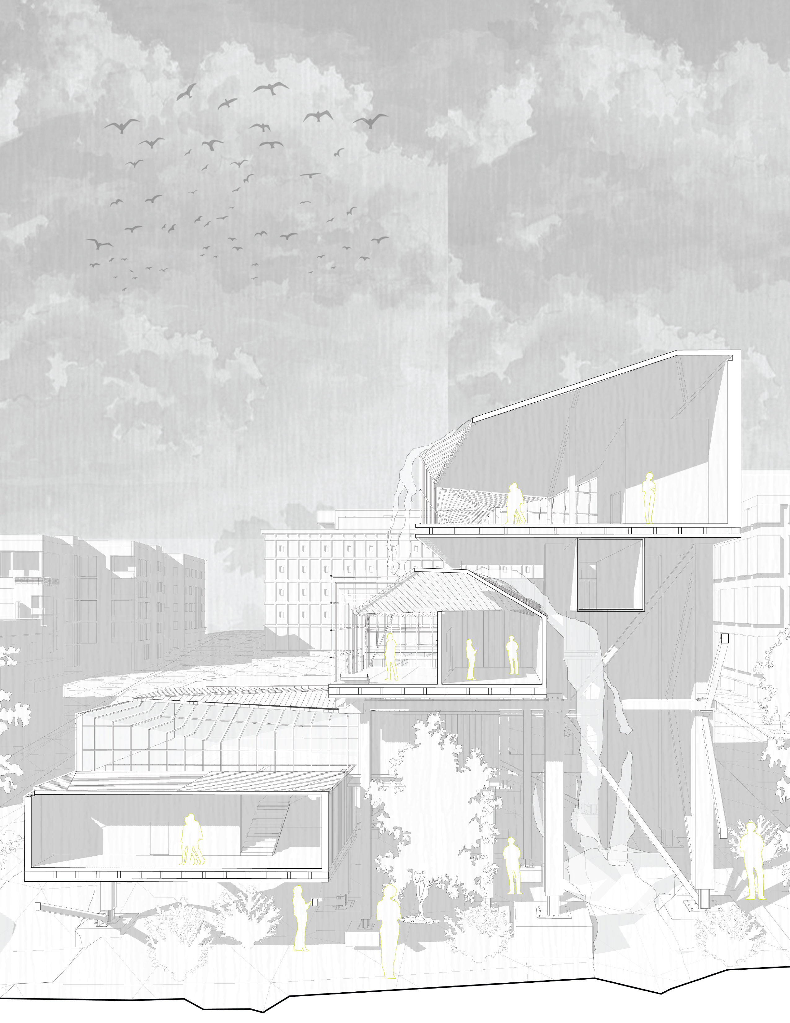 Cataracta drawing 02